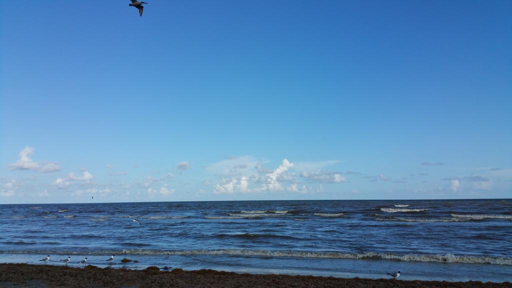Private Beach -- Away From The Crowds - Ocean Views -Short Drive To Moody Gardens, Schlitter Bahn, Pleasure Pier Galveston Extérieur photo
