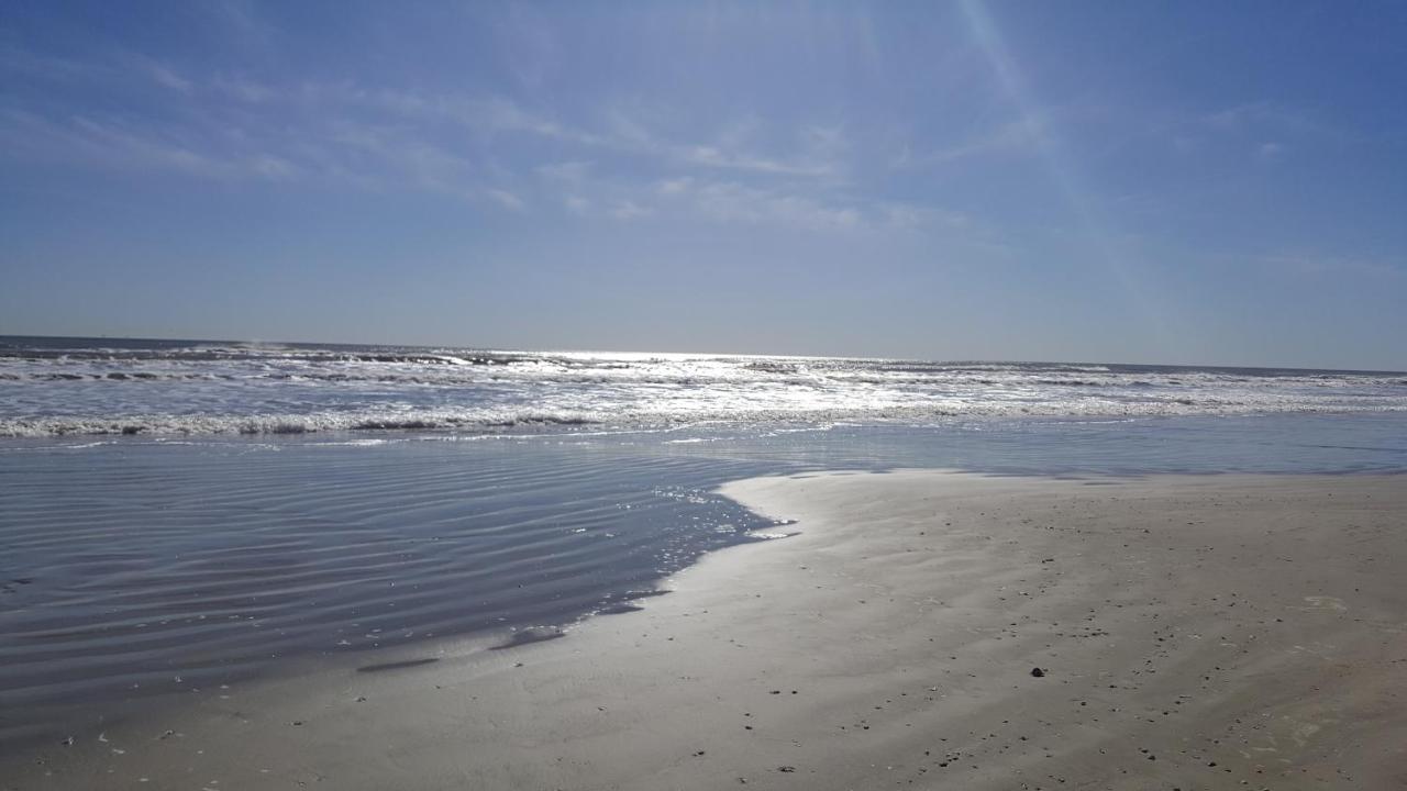 Private Beach -- Away From The Crowds - Ocean Views -Short Drive To Moody Gardens, Schlitter Bahn, Pleasure Pier Galveston Extérieur photo